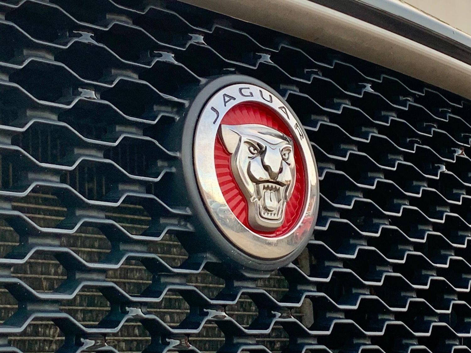 Used Jaguar F-Pace 2016 for sale - 76512906: Photo 52