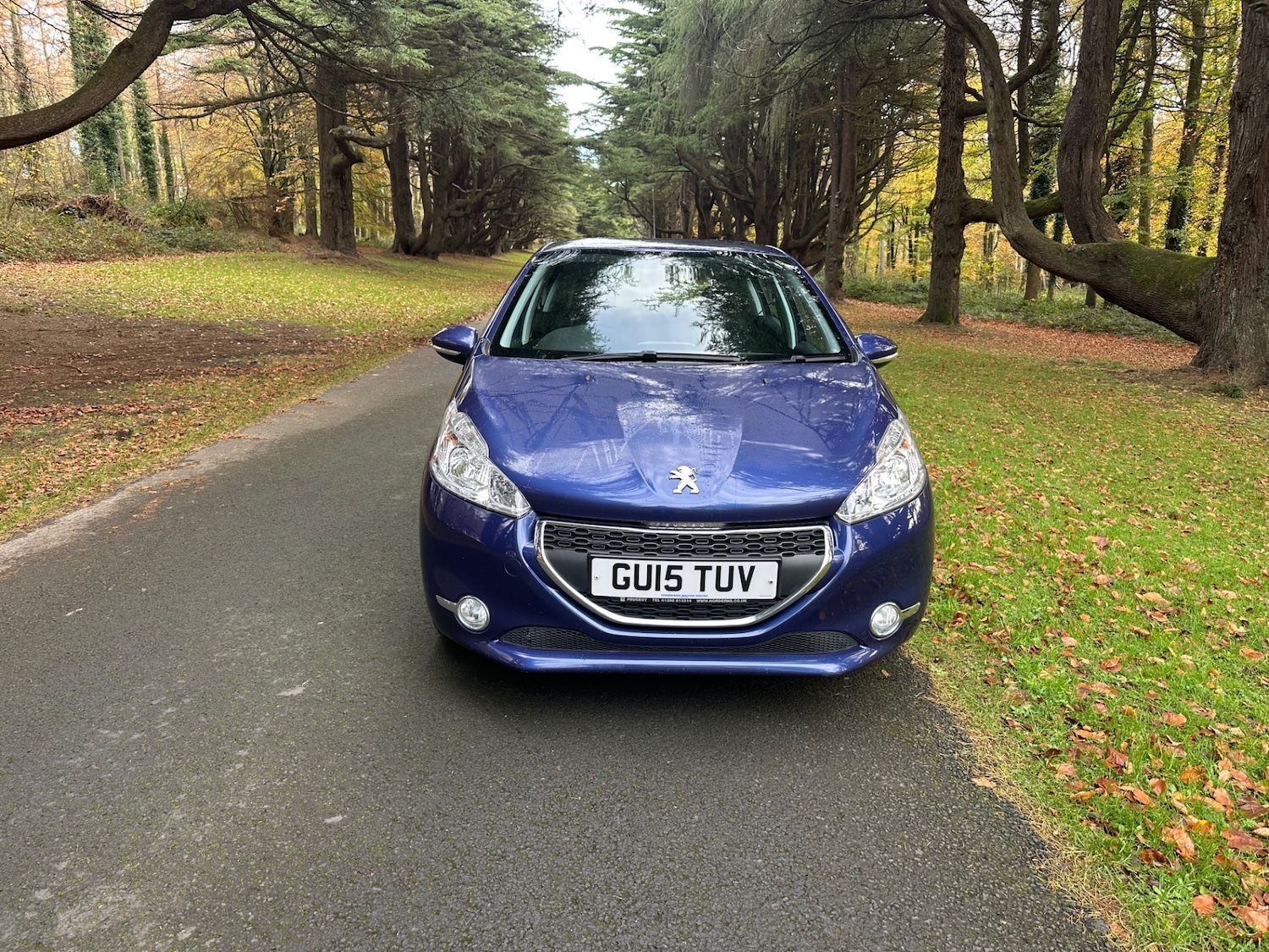 Used Peugeot 208 2015 for sale - 76785486: Photo 2