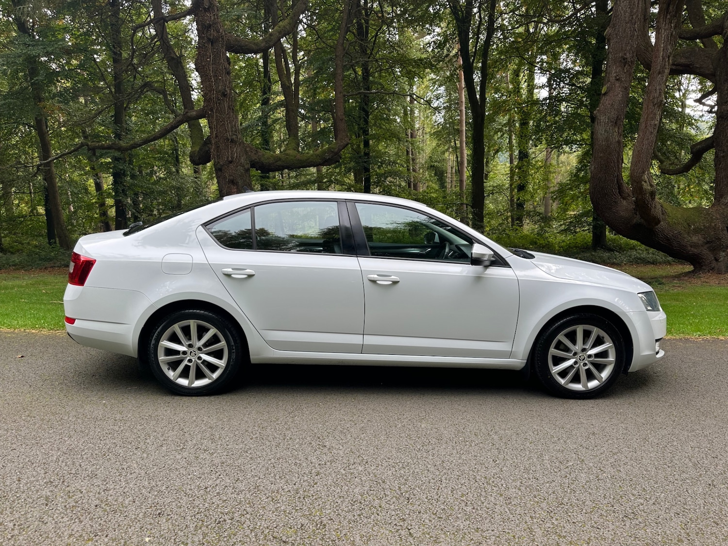 Used Skoda Octavia 2015 for sale - 76791656: Photo 10