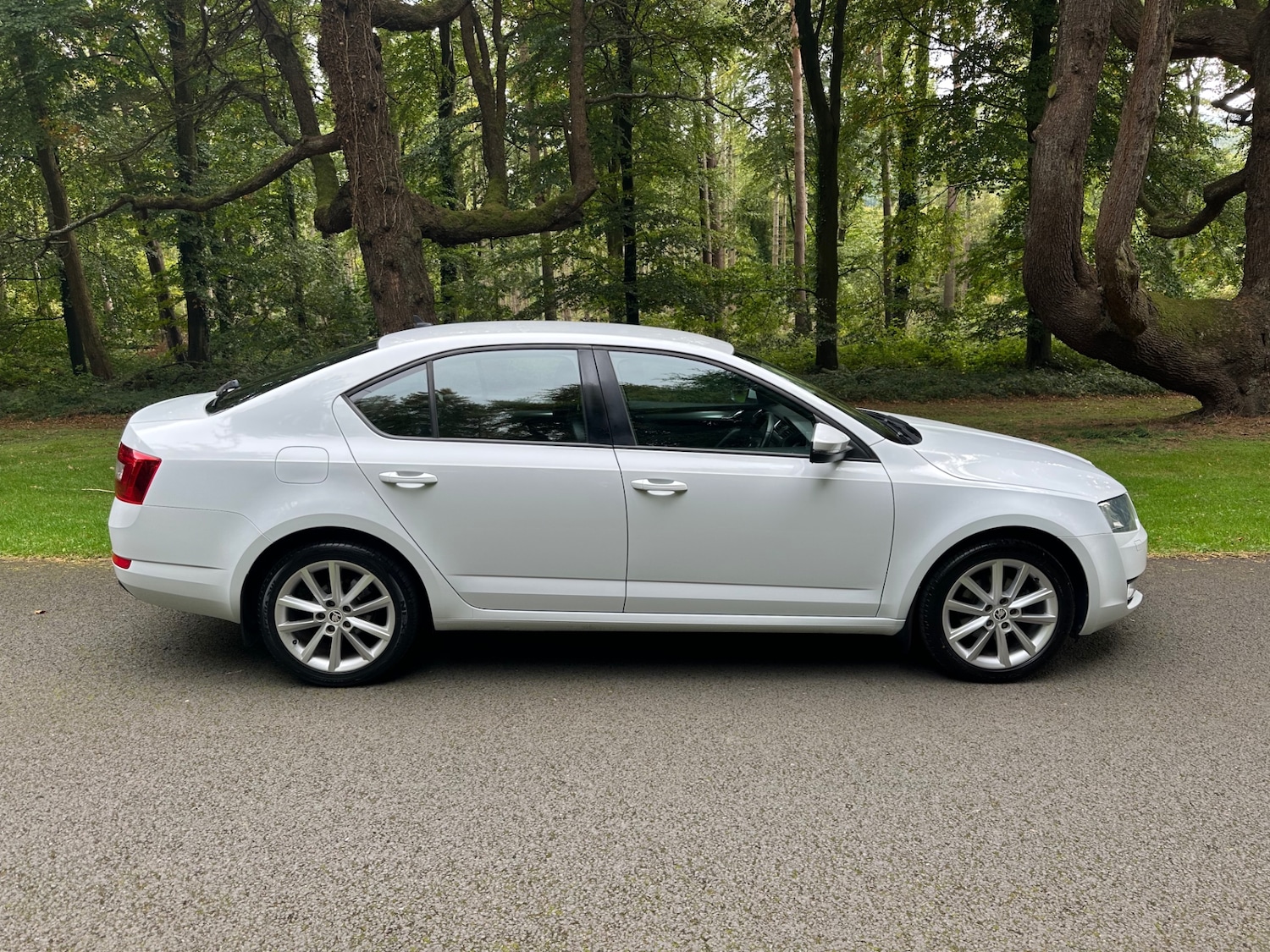 Used Skoda Octavia 2015 for sale - 76791656: Photo 11