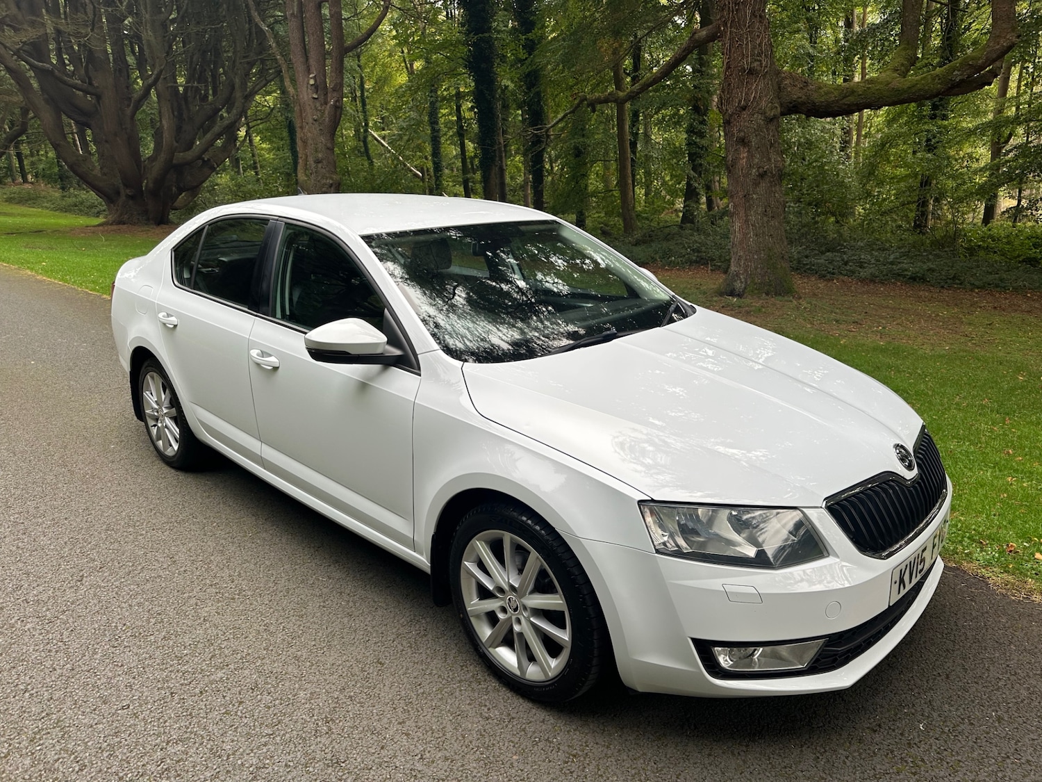 Used Skoda Octavia 2015 for sale - 76791656: Photo 12