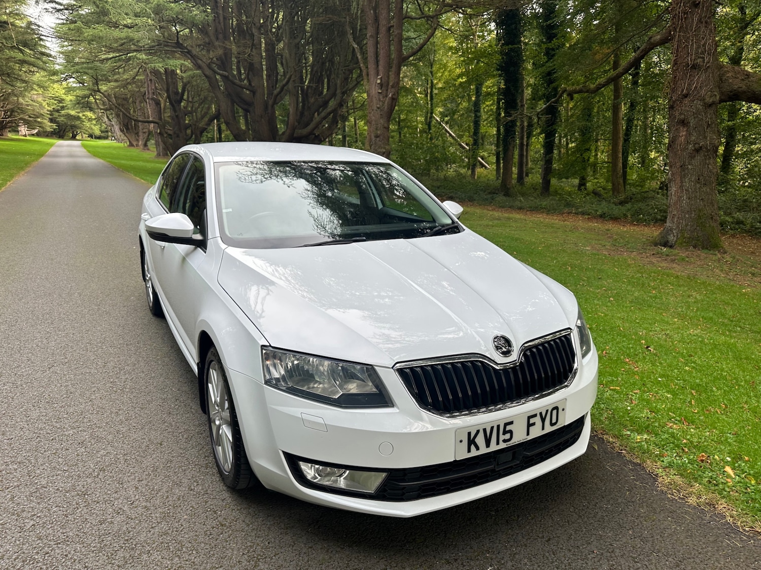 Used Skoda Octavia 2015 for sale - 76791656: Photo 18