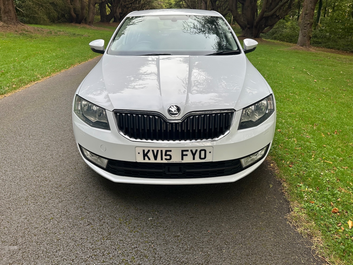 Used Skoda Octavia 2015 for sale - 76791656: Photo 19