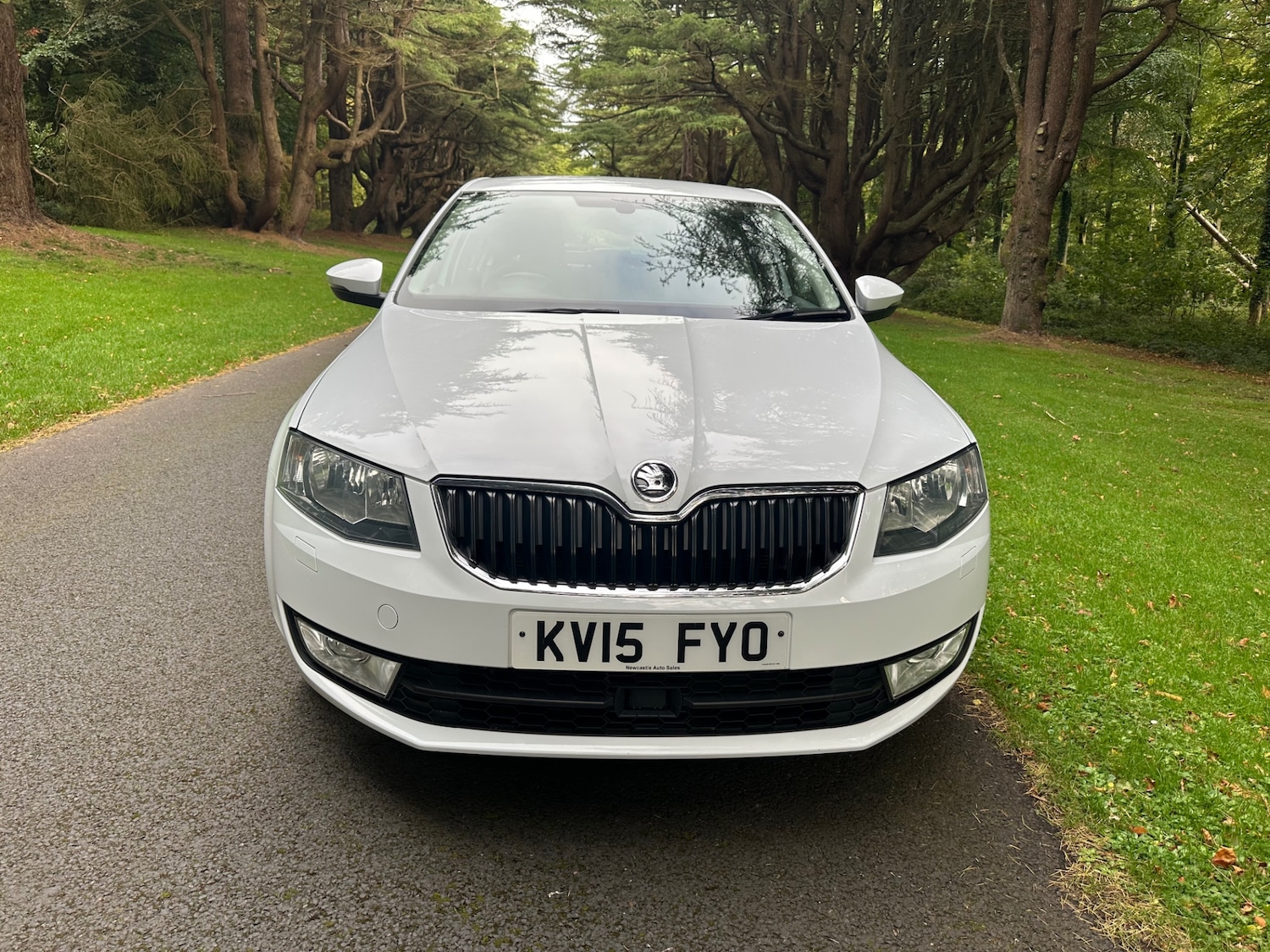 Used Skoda Octavia 2015 for sale - 76791656: Photo 2