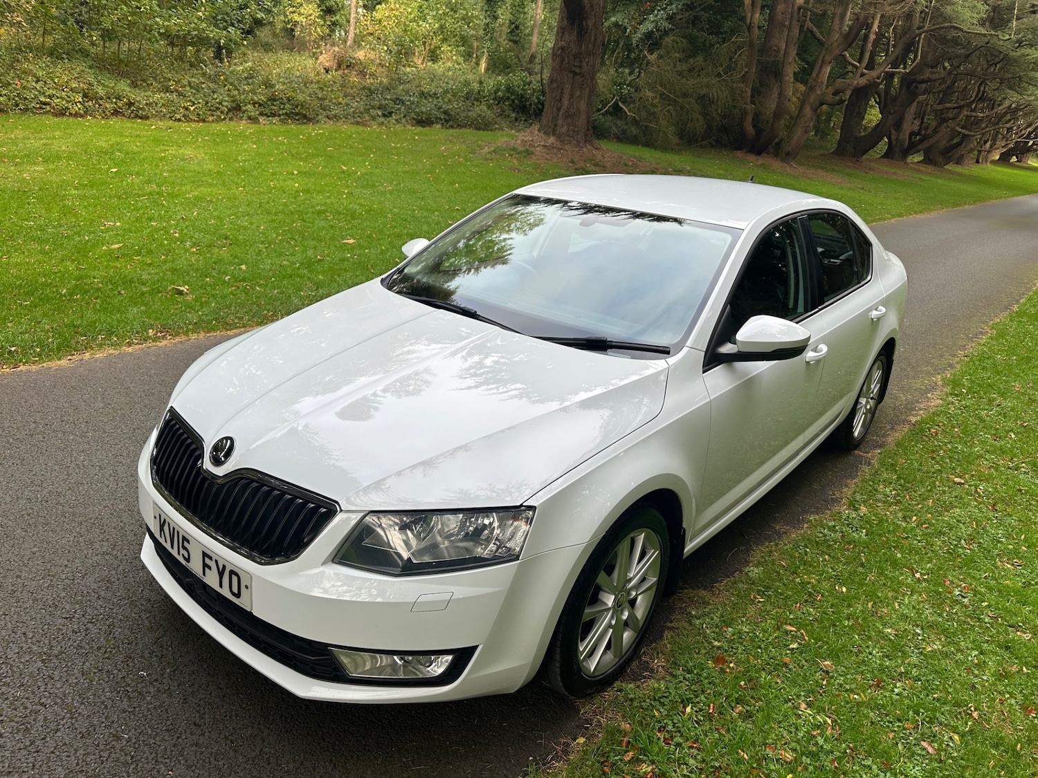 Used Skoda Octavia 2015 for sale - 76791656: Photo 21