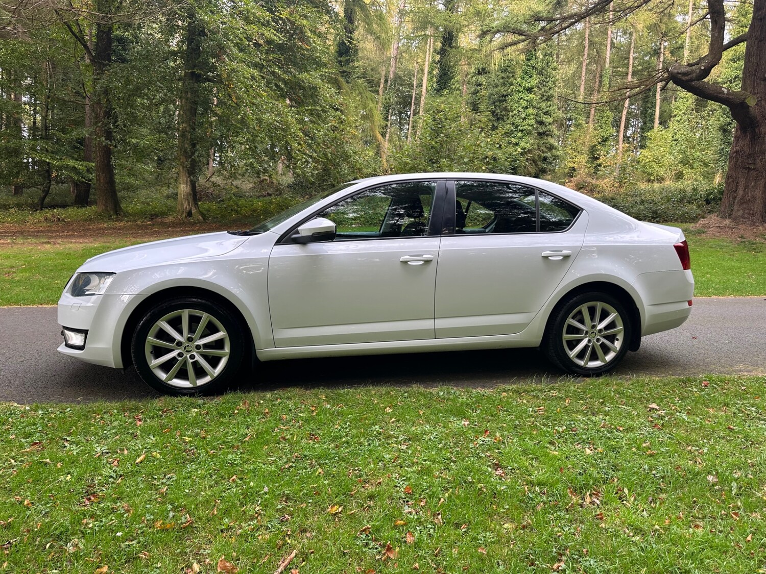 Used Skoda Octavia 2015 for sale - 76791656: Photo 22