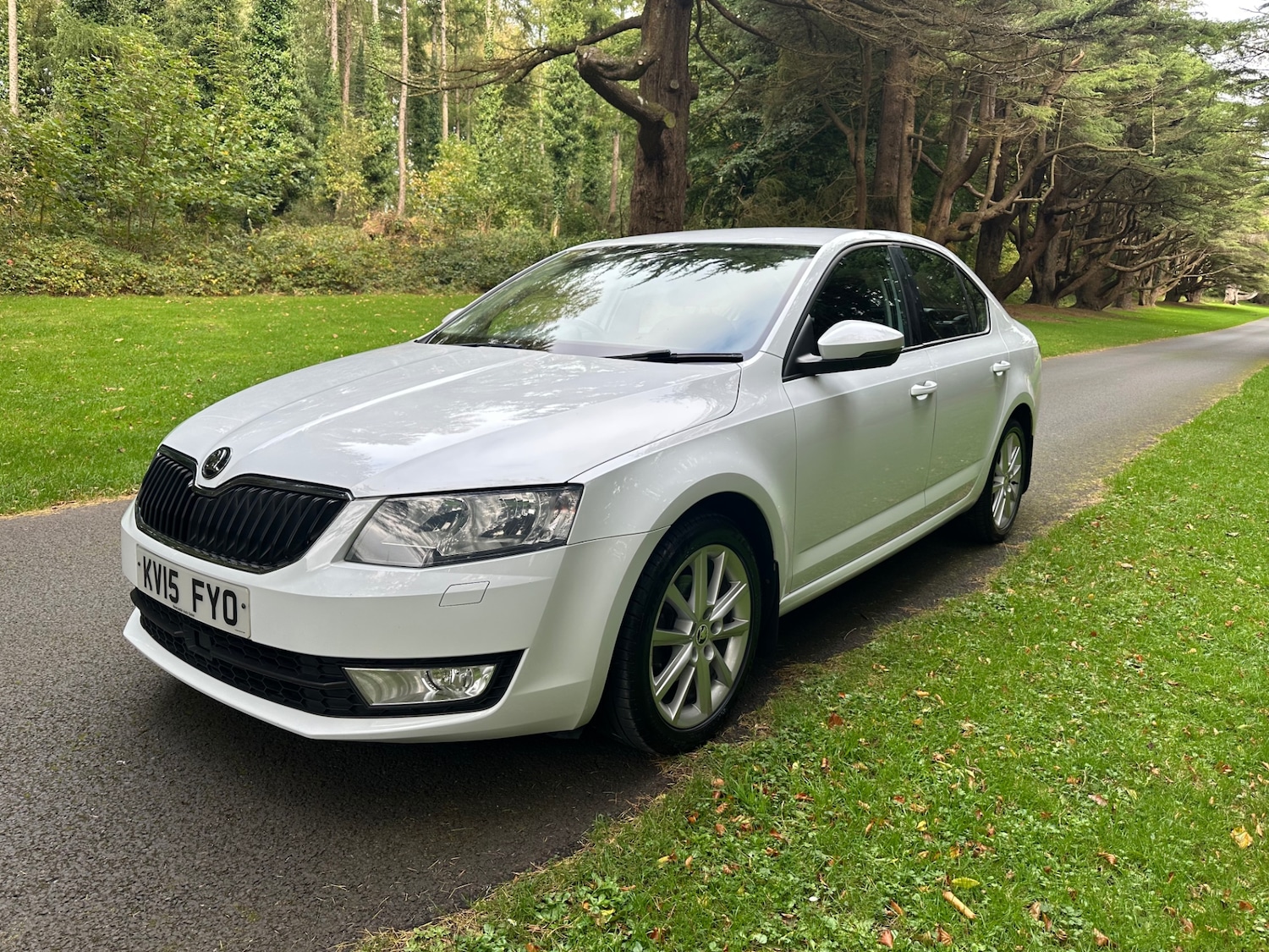 Used Skoda Octavia 2015 for sale - 76791656: Photo 3