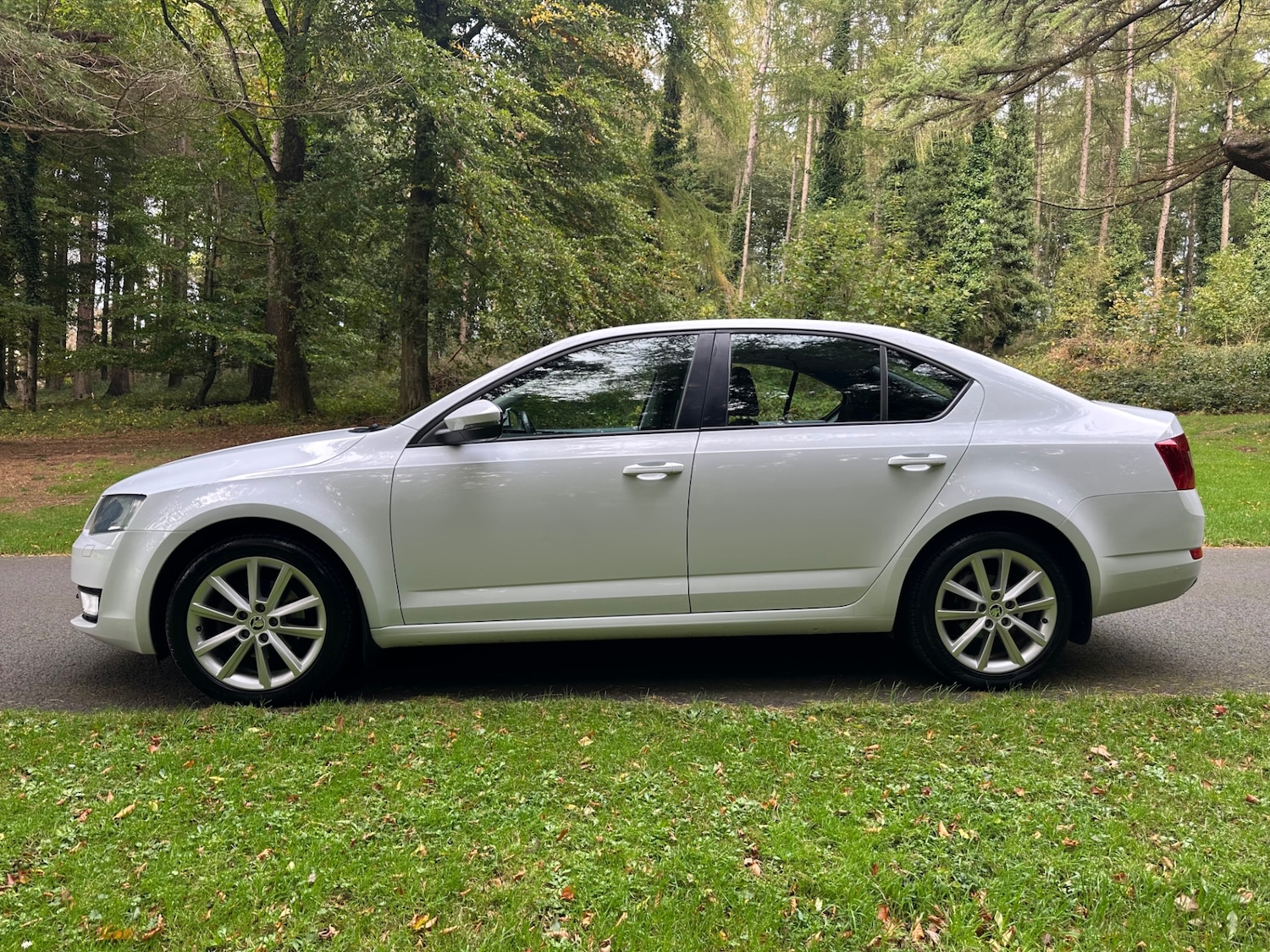 Used Skoda Octavia 2015 for sale - 76791656: Photo 4