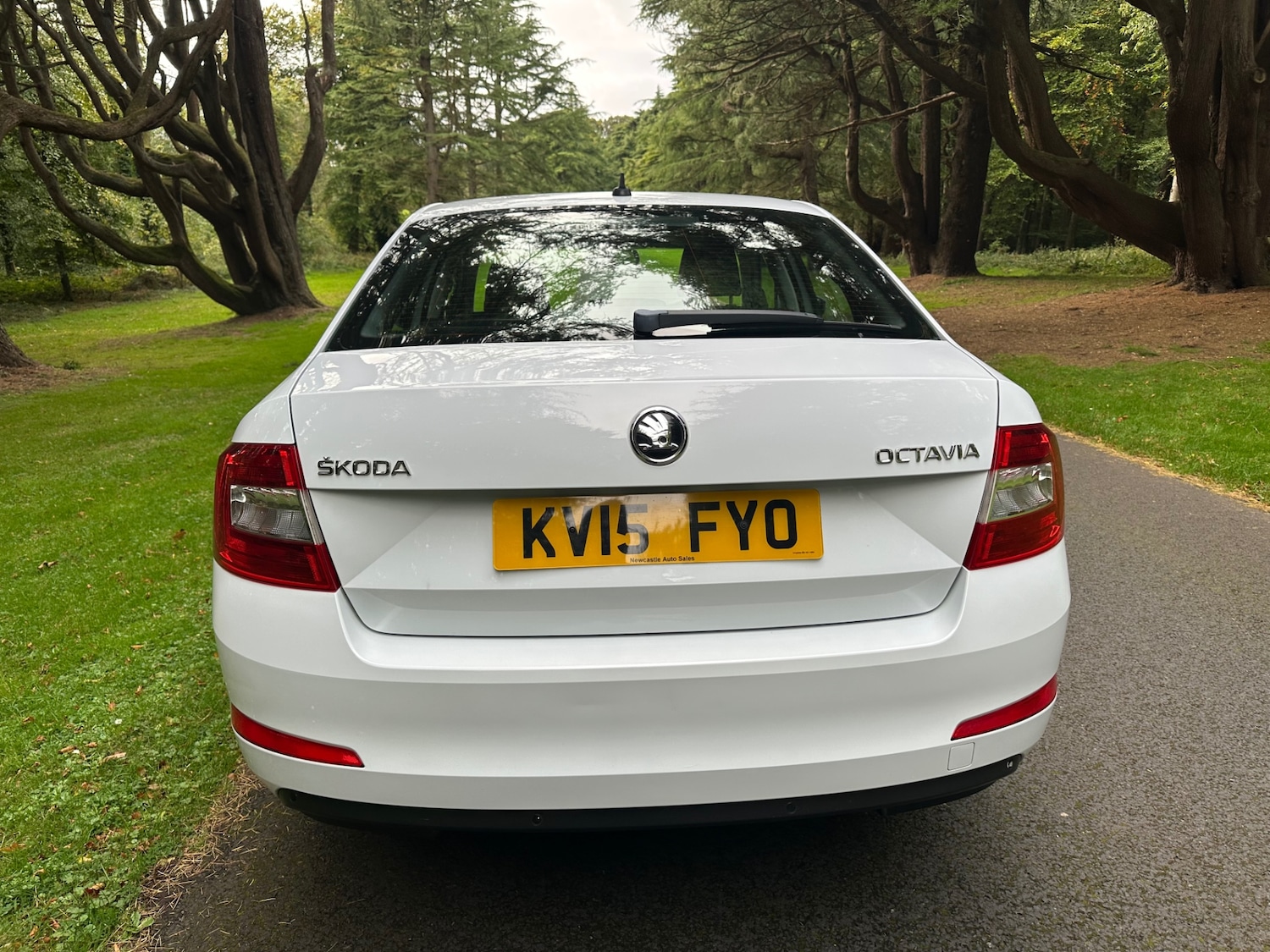 Used Skoda Octavia 2015 for sale - 76791656: Photo 6