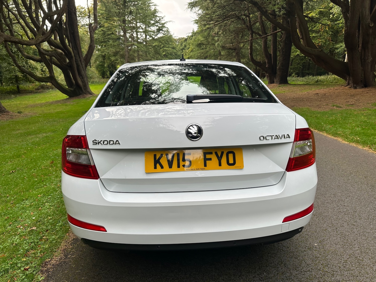 Used Skoda Octavia 2015 for sale - 76791656: Photo 7