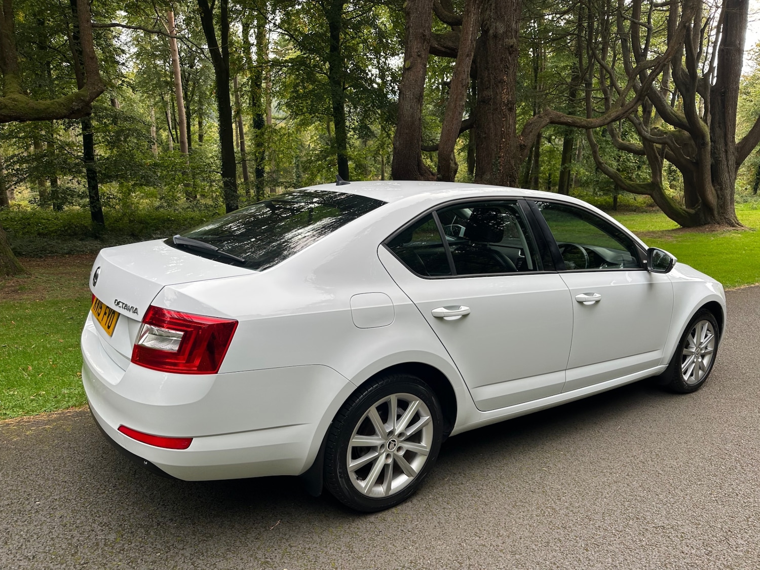 Used Skoda Octavia 2015 for sale - 76791656: Photo 9