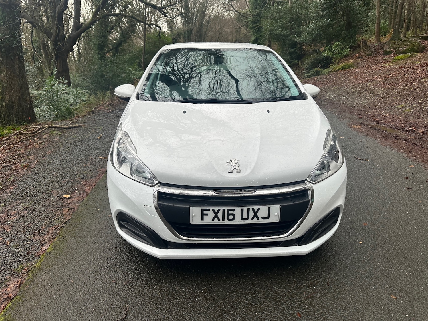 Used Peugeot 208 2016 for sale - 77337037: Photo 13