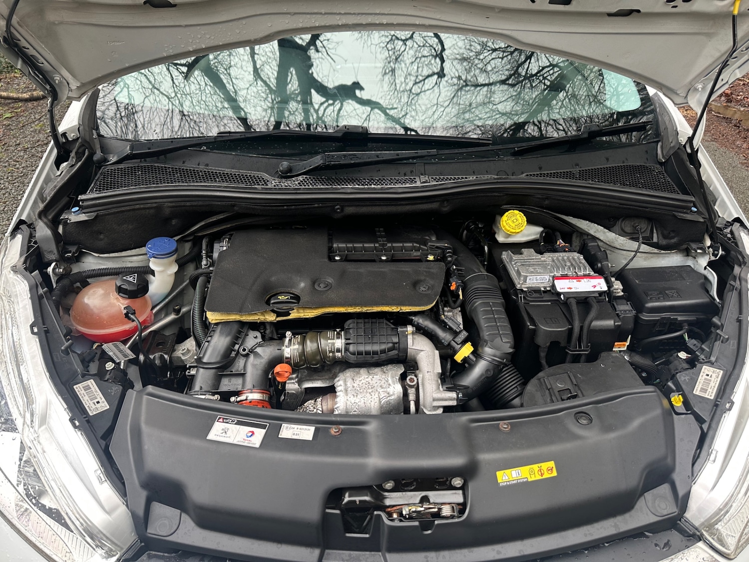 Used Peugeot 208 2016 for sale - 77337037: Photo 17