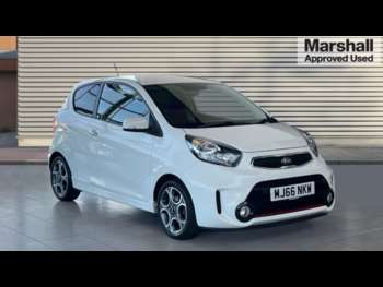 2016 - 1.25 Chilli EcoDynamics 3dr