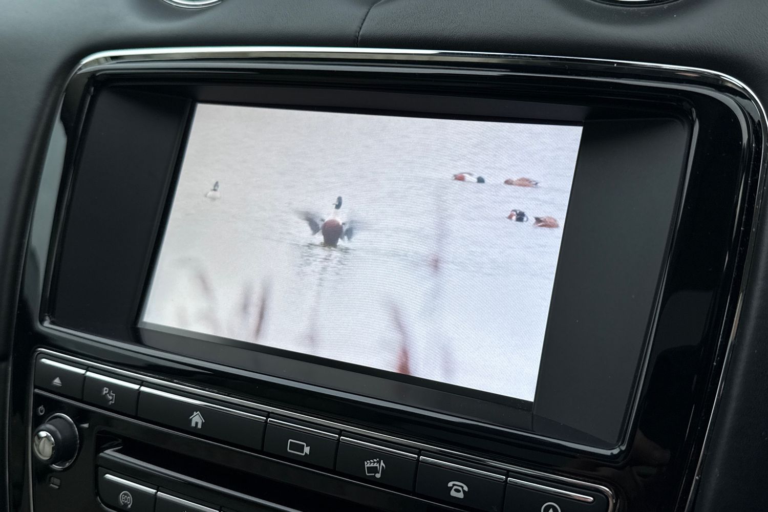 Used Jaguar XJ 2017 for sale - 77076813: Photo 53