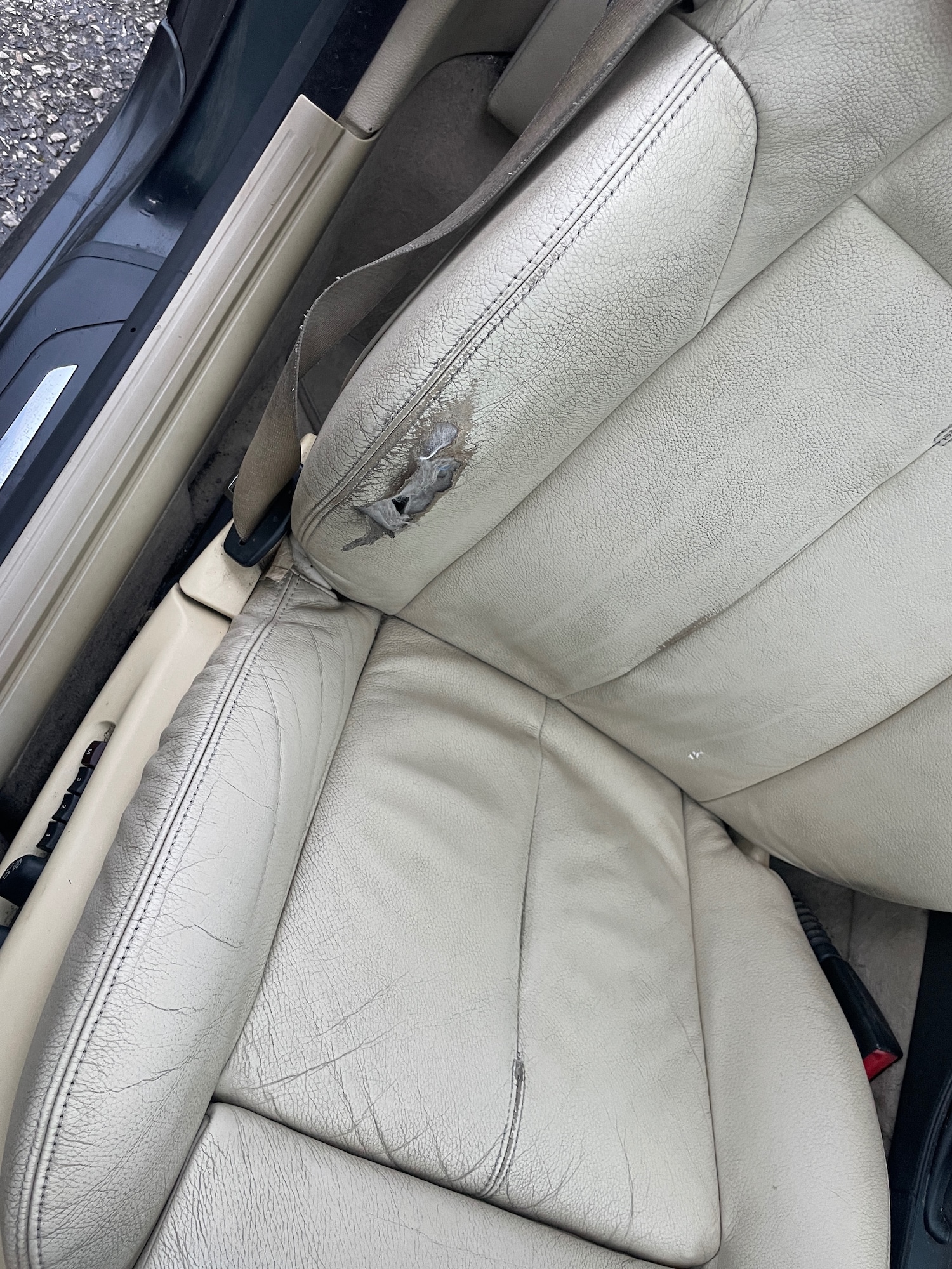 Used BMW 6 Series 2008 for sale - 76835013: Photo 13