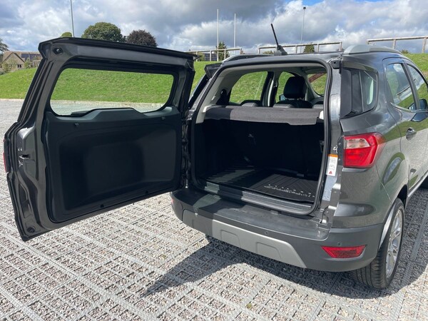 Used Ford Ecosport 2019 for sale - 75652965: Photo 28