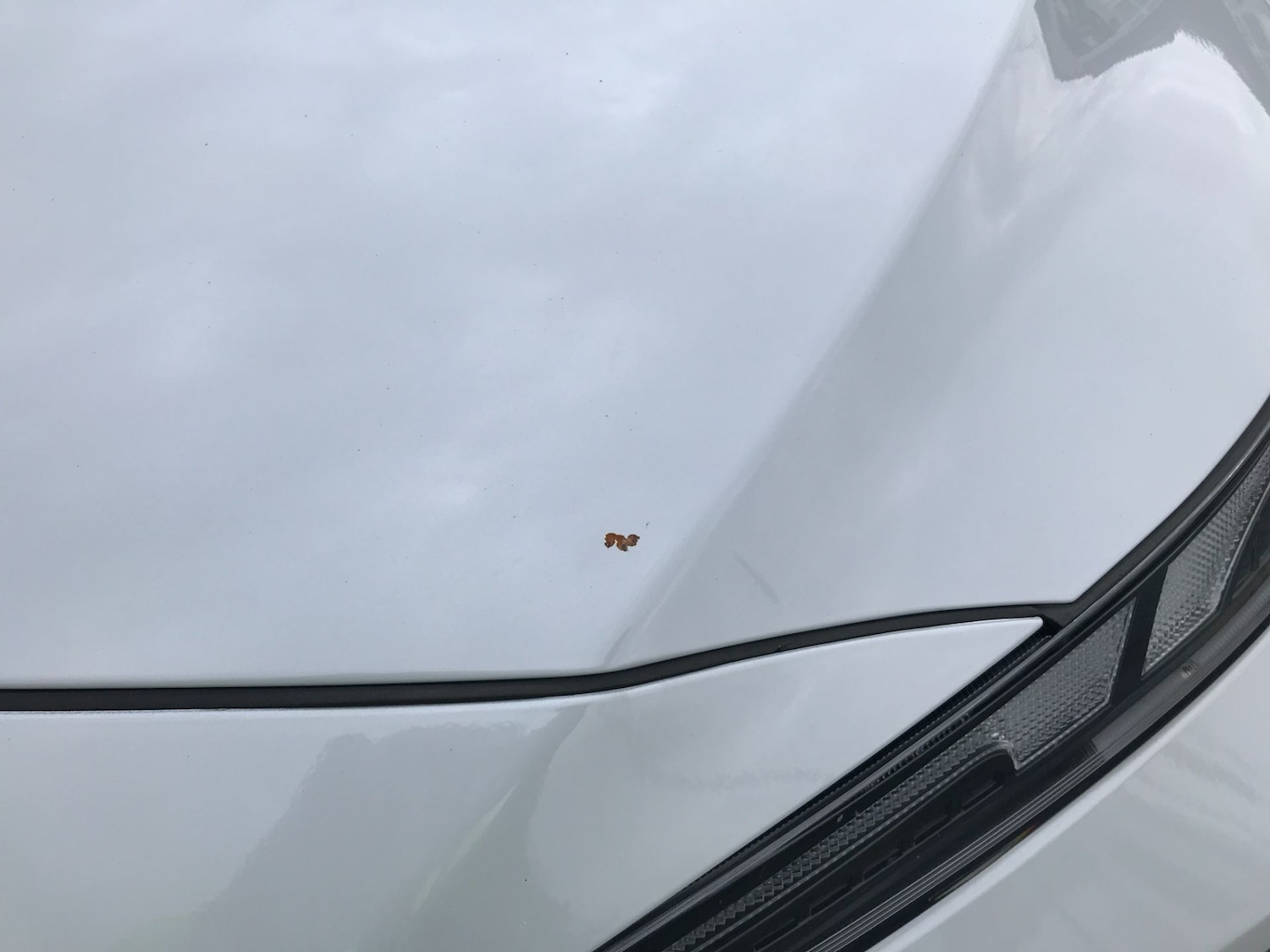 Used Hyundai Santa Fe 2023 for sale - 76603572: Photo 45