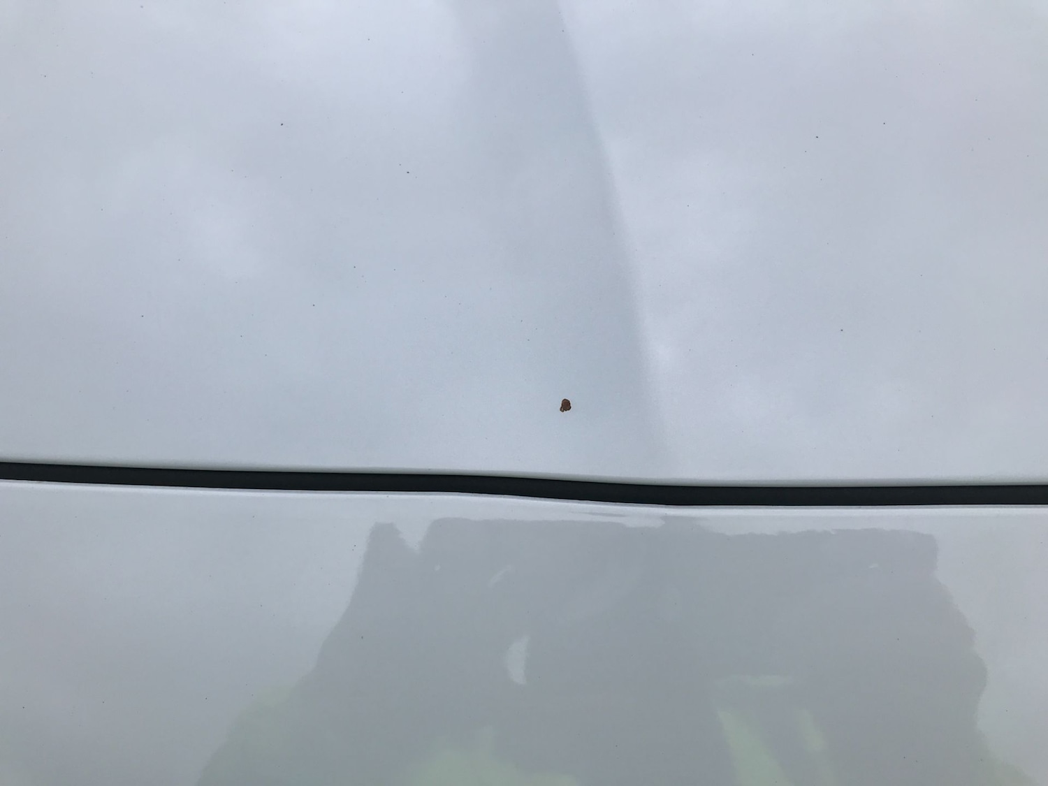 Used Hyundai Santa Fe 2023 for sale - 76603572: Photo 46