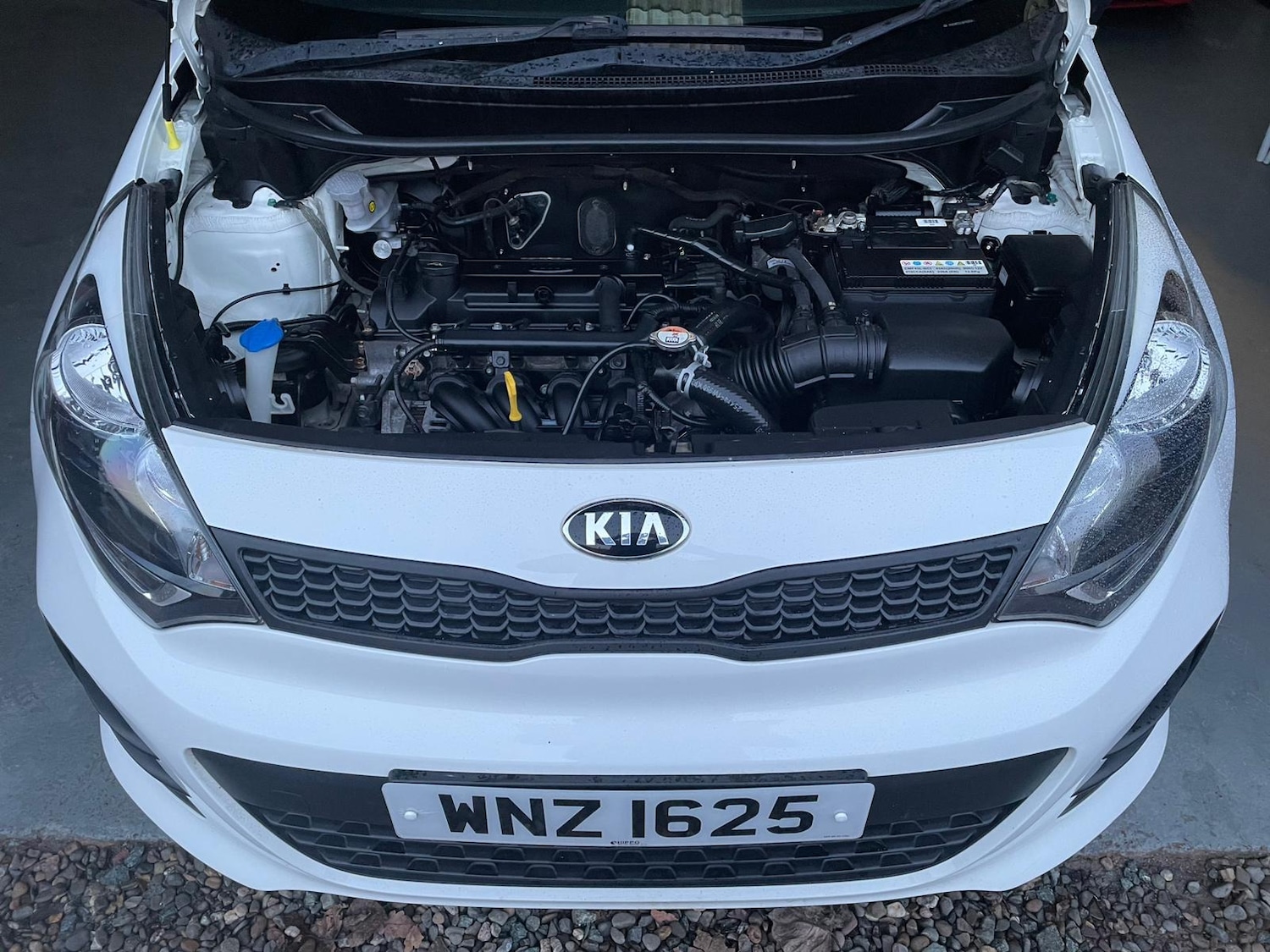 Used Kia Rio 2016 for sale - 76904755: Photo 17