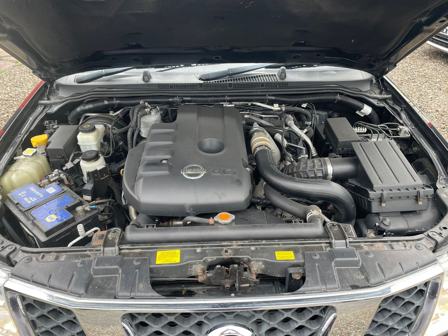 Used Nissan Navara 2008 for sale - 76425884: Photo 18