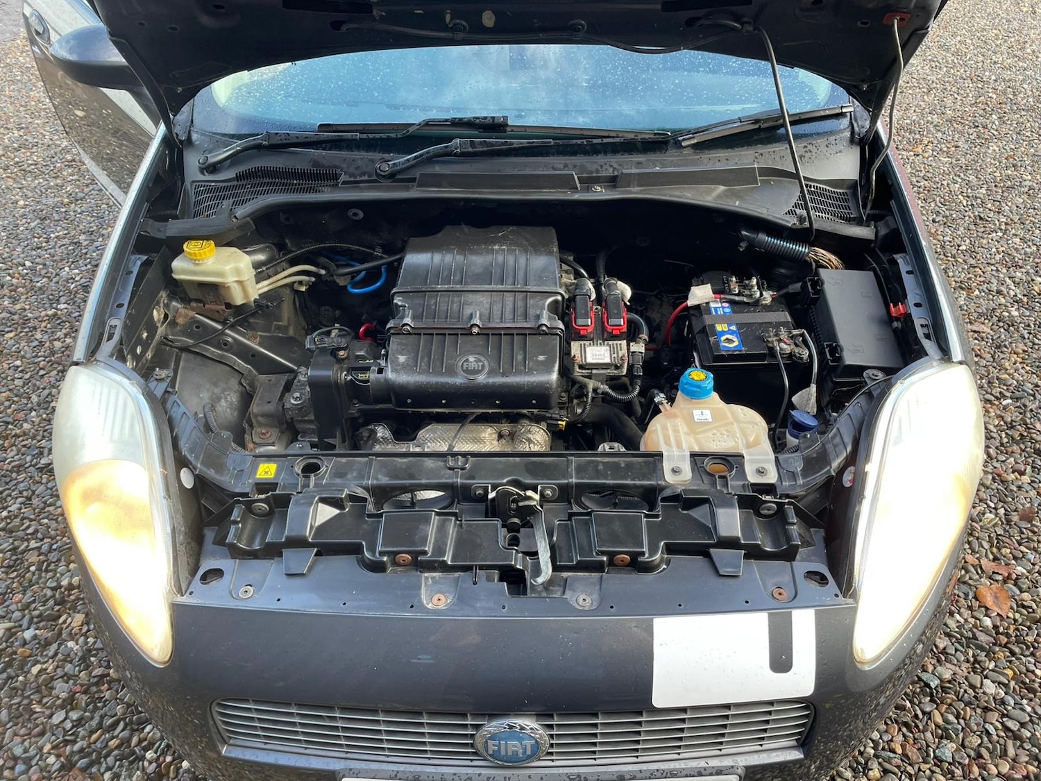 Used Fiat Grande Punto 2007 for sale - 76363472: Photo 17