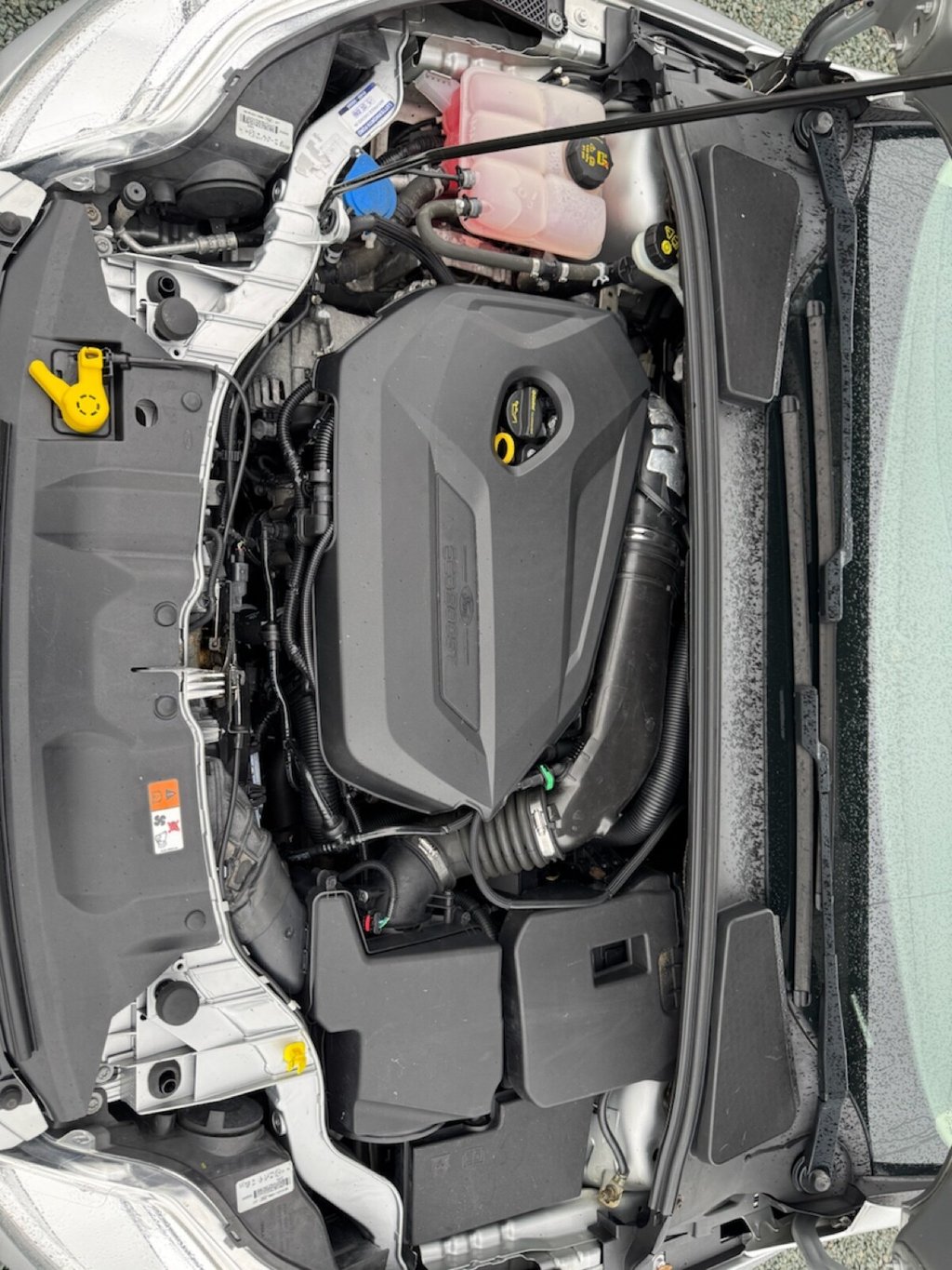 Used Ford Focus 2013 for sale - 77621026: Photo 24