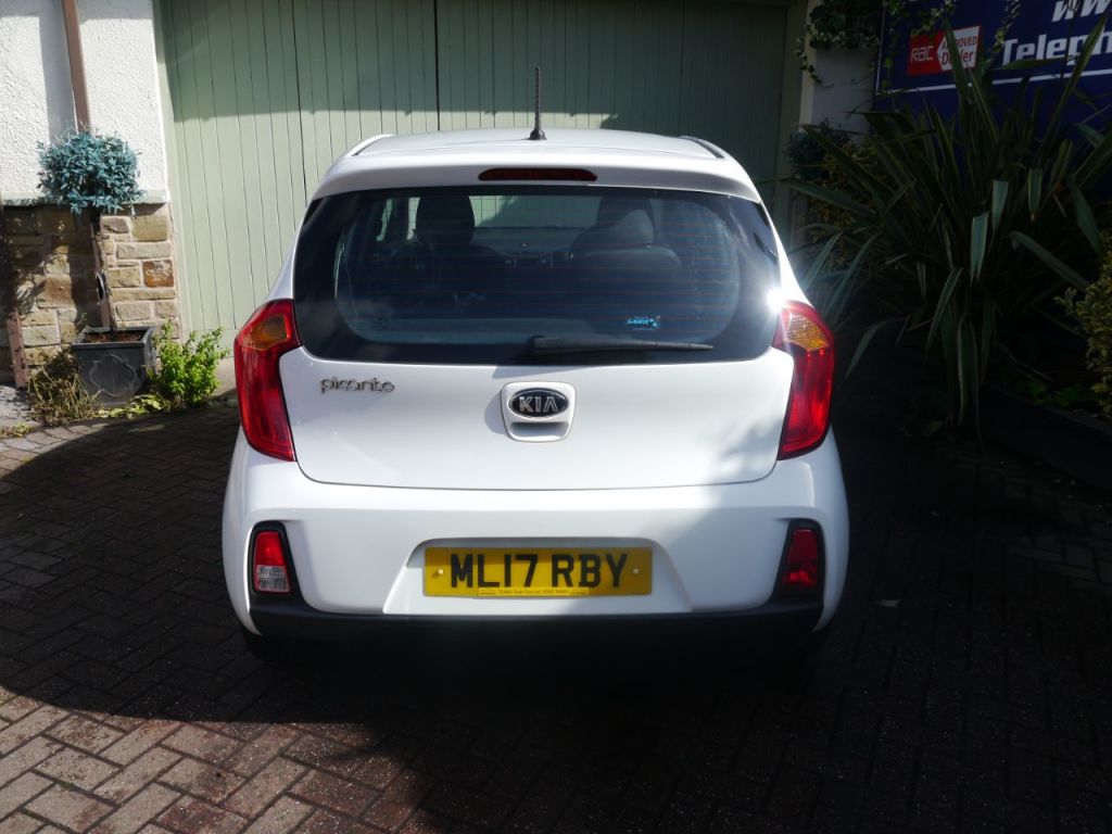 Used Kia Picanto 2017 for sale - 76016835: Photo 5