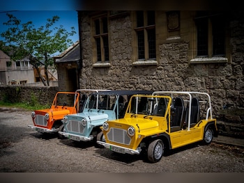 Used MOKE Electric 2023 for sale - 79107002: Photo