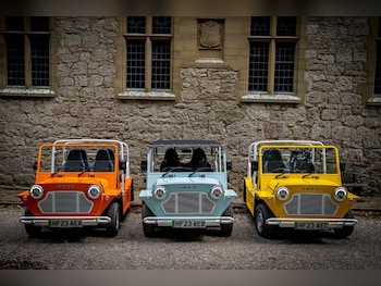 Used MOKE Electric 2023 for sale - 79107002: Photo