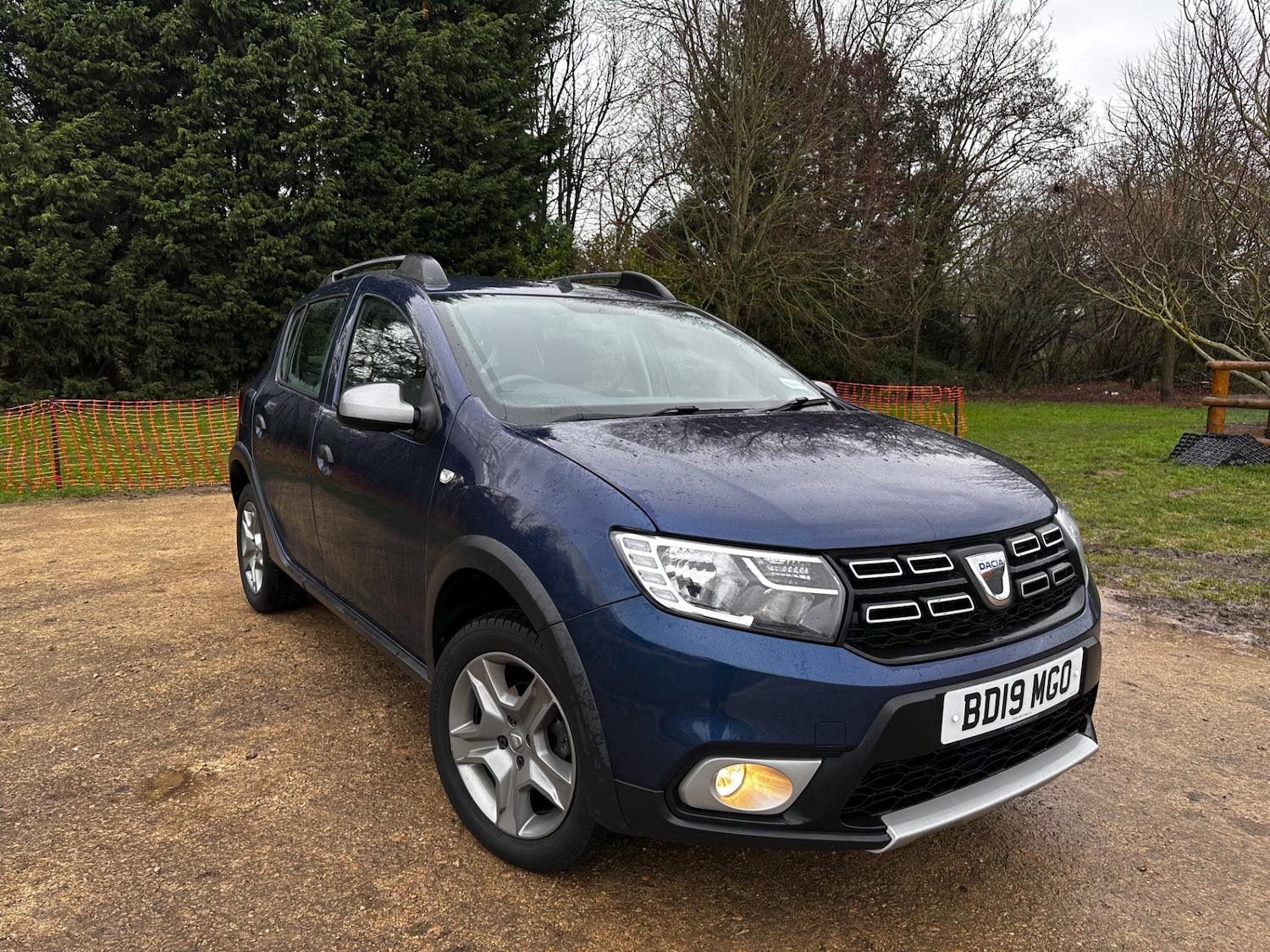 Used Dacia Sandero Stepway 2019 for sale - 76982944: Photo 1