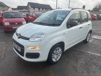 Used Fiat Panda 2017 for sale - 76855508: Photo