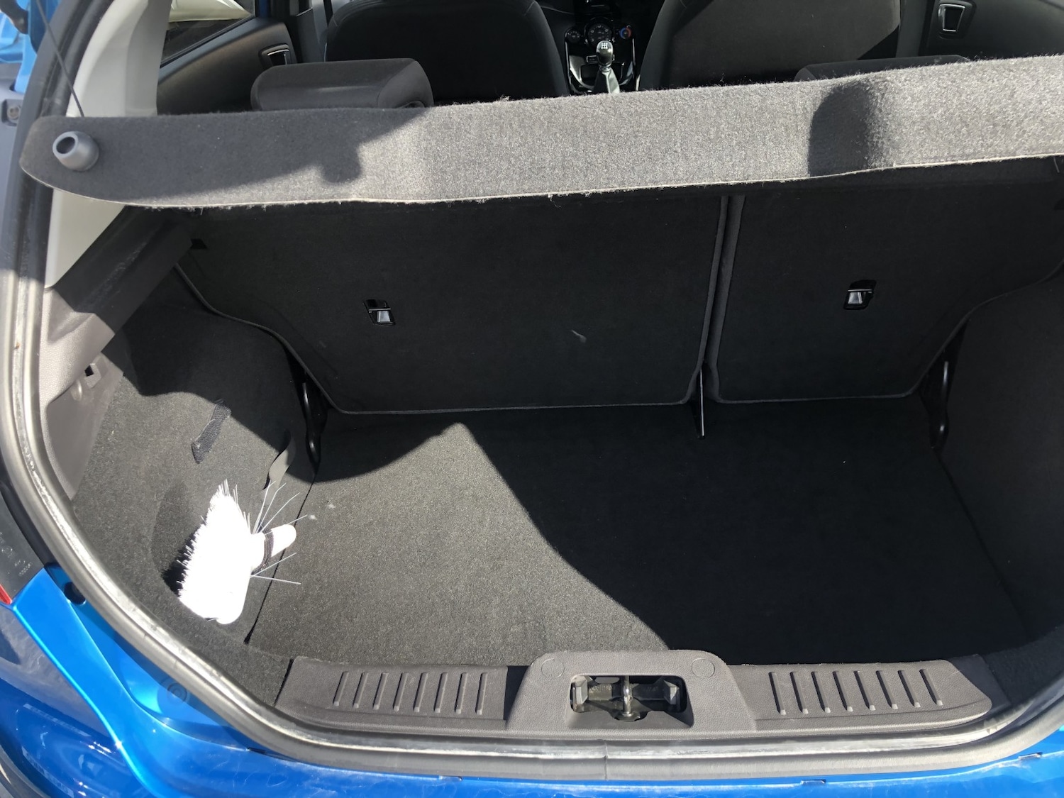 Used Ford Fiesta 2014 for sale - 78135023: Photo 6