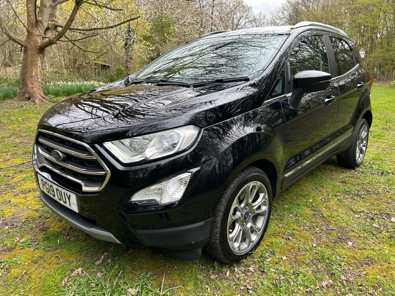 Used Ford Ecosport for sale - 78111712: Photo 7