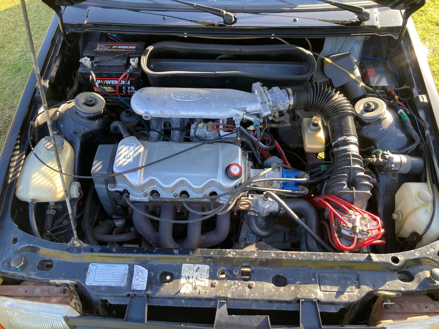 Used Ford Escort 1983 for sale - 77831432: Photo 6