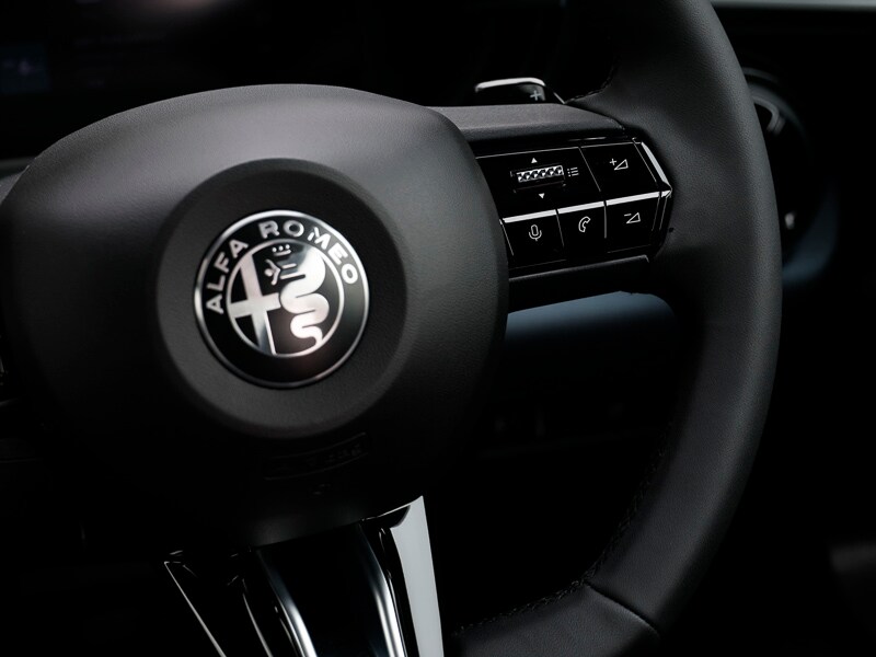 Used Alfa Romeo Junior 2025 for sale - 78140106: Photo 16