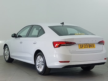 Used Skoda Octavia 2023 for sale - 78530832: Photo