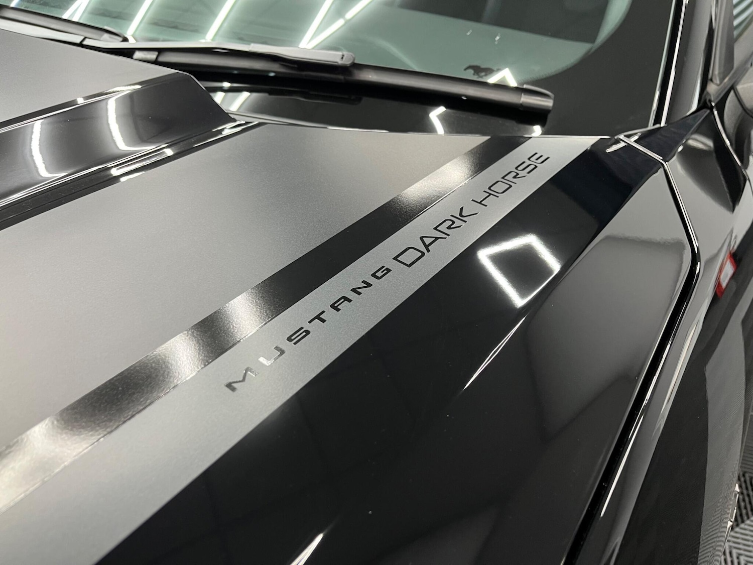 Used Ford Mustang 2025 for sale - 77081597: Photo 20