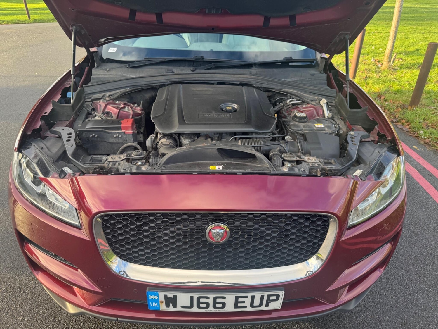 Used Jaguar F-Pace for sale - 77268105: Photo 62