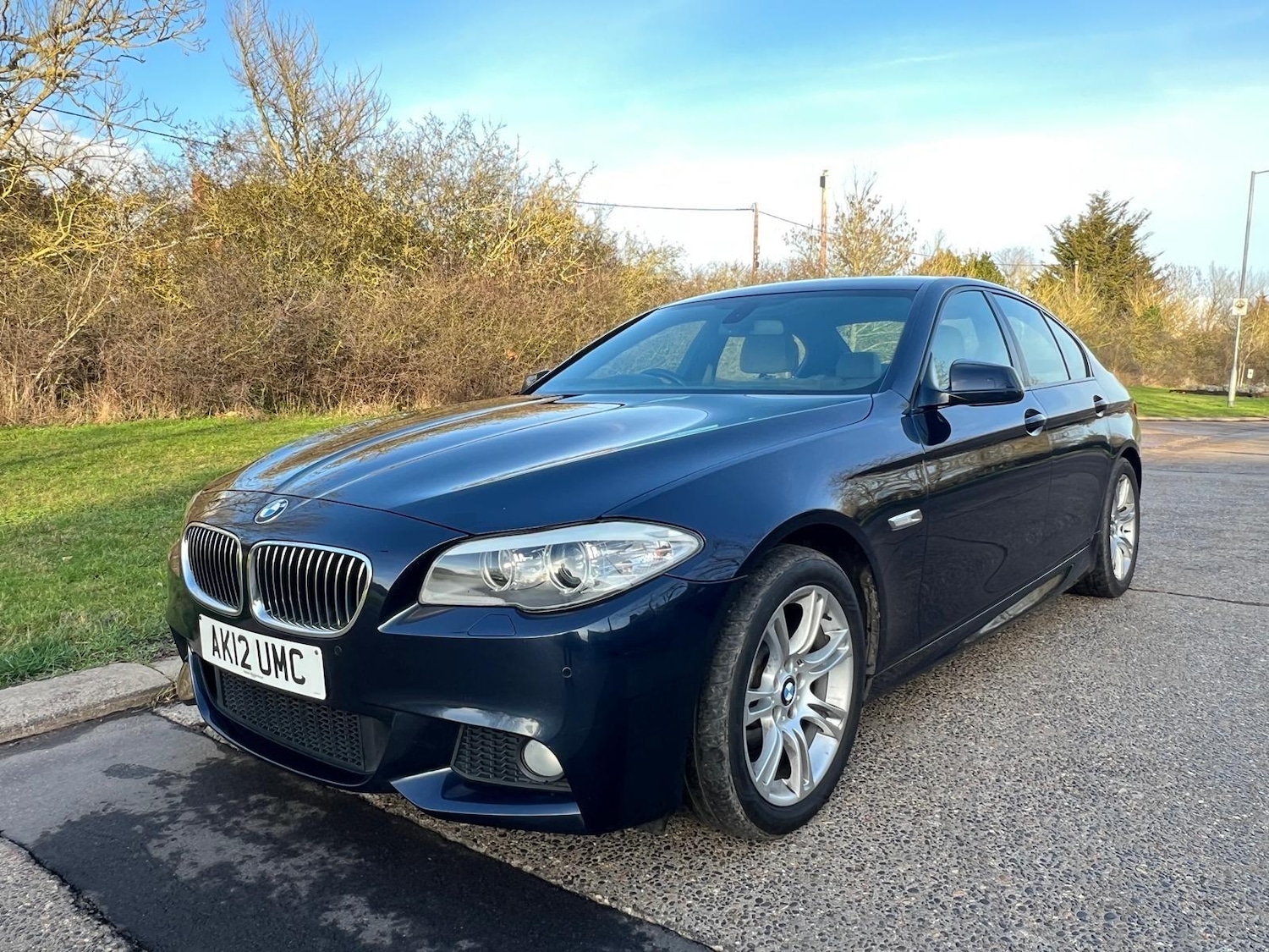 Used BMW 5 Series 2012 for sale - 77358685: Photo 3