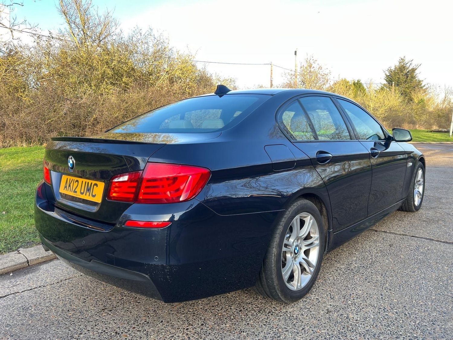 Used BMW 5 Series 2012 for sale - 77358685: Photo 6