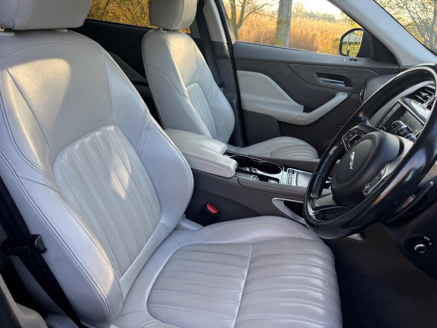 Used Jaguar F-Pace 2016 for sale - 76714899: Photo 30