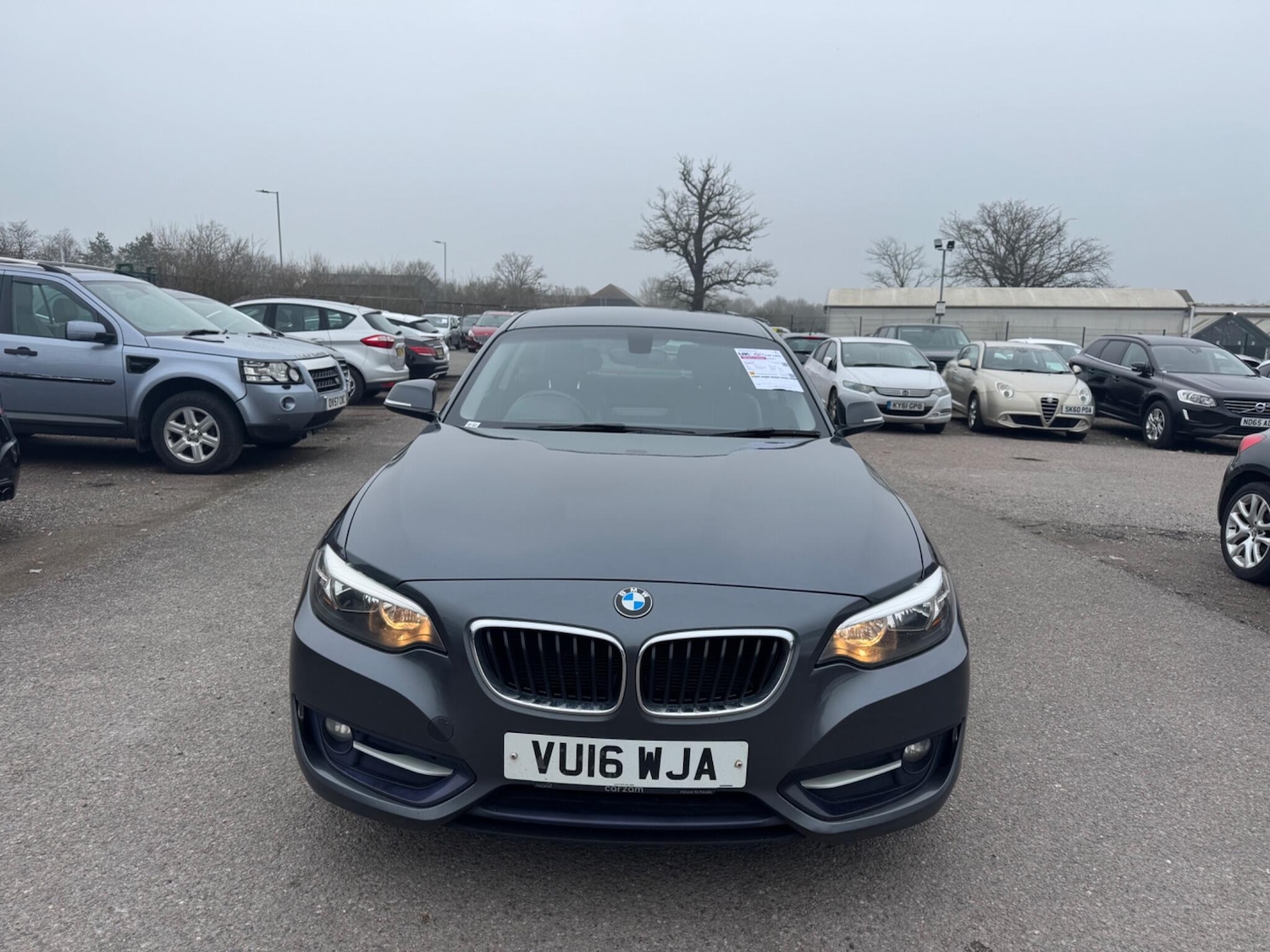 Used BMW 2 Series for sale - 77768166: Photo 9