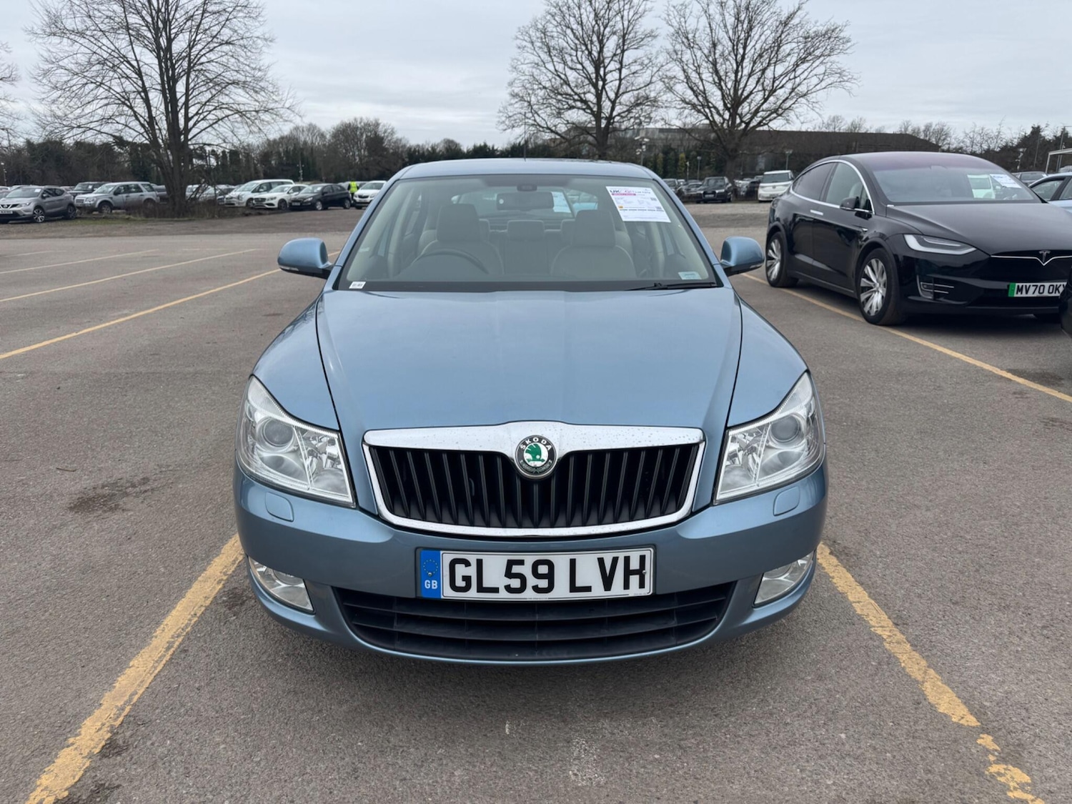 Used Skoda Octavia 2010 for sale - 77612837: Photo 3