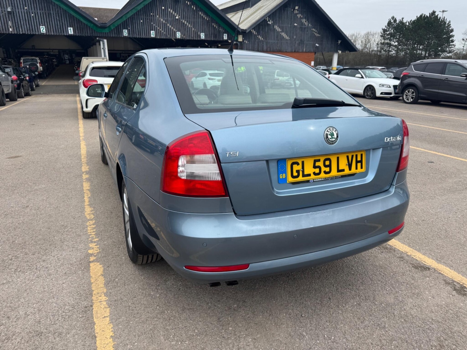 Used Skoda Octavia 2010 for sale - 77612837: Photo 8