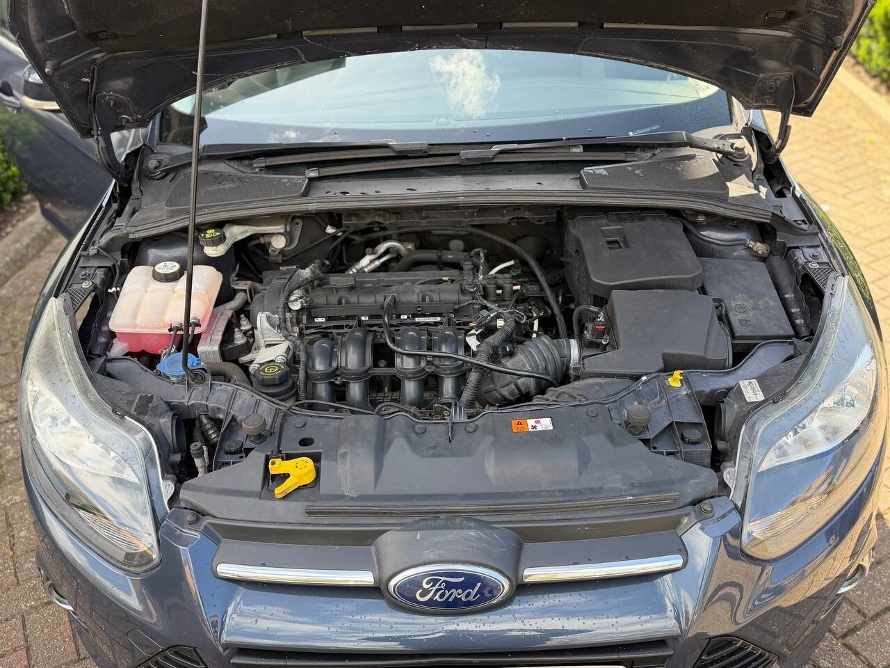 Used Ford Focus 2013 for sale - 78225990: Photo 15