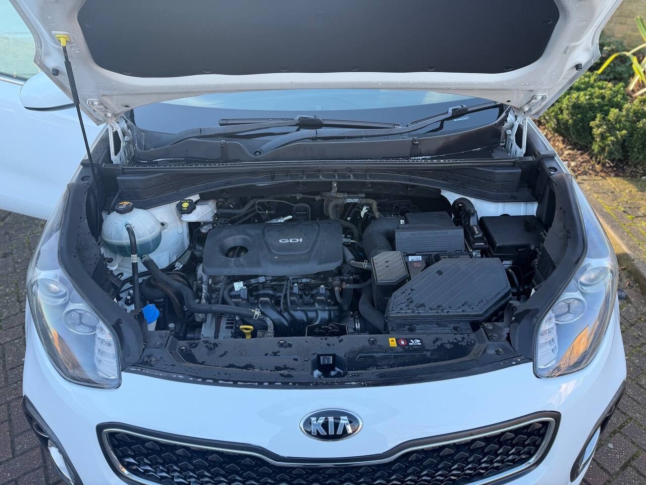 Used Kia Sportage for sale - 77233732: Photo 17