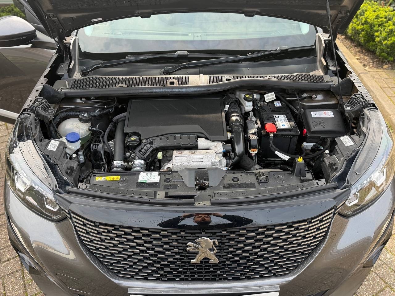 Used Peugeot 2008 2021 for sale - 78004850: Photo 17