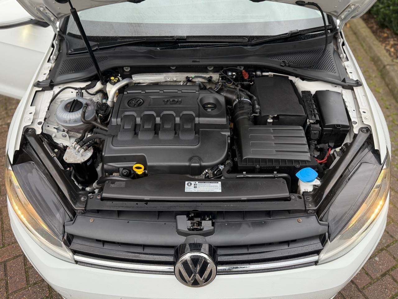 Used Volkswagen Golf for sale - 76987079: Photo 18