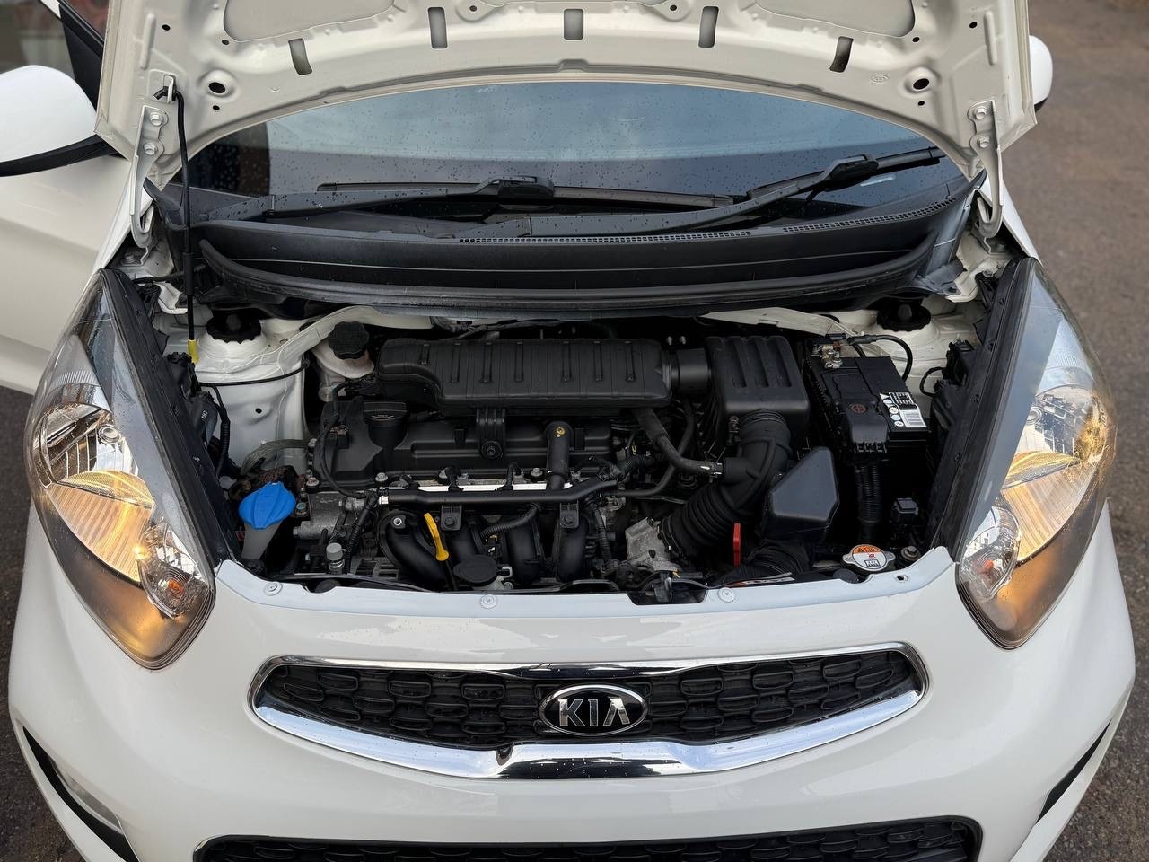 Used Kia Picanto for sale - 76770224: Photo 14